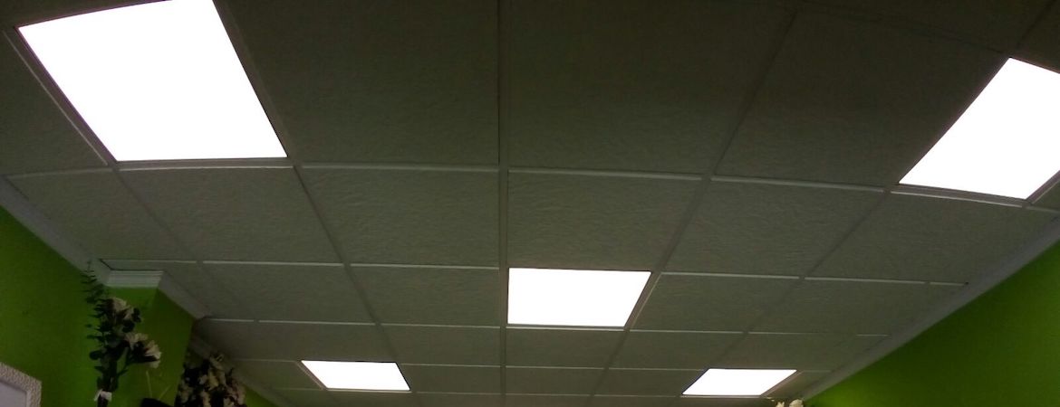 Panel-LED-Floristería